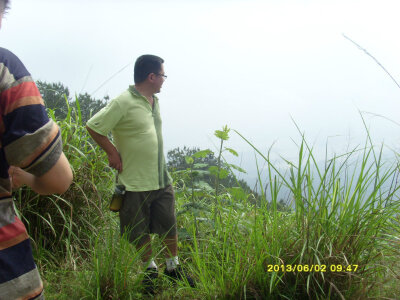 SI850178.JPG