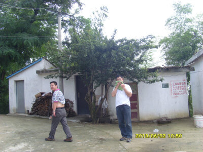 SI850207.JPG