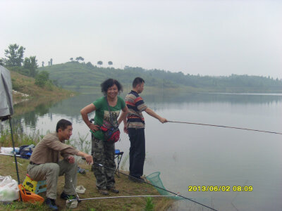 SI850139.JPG